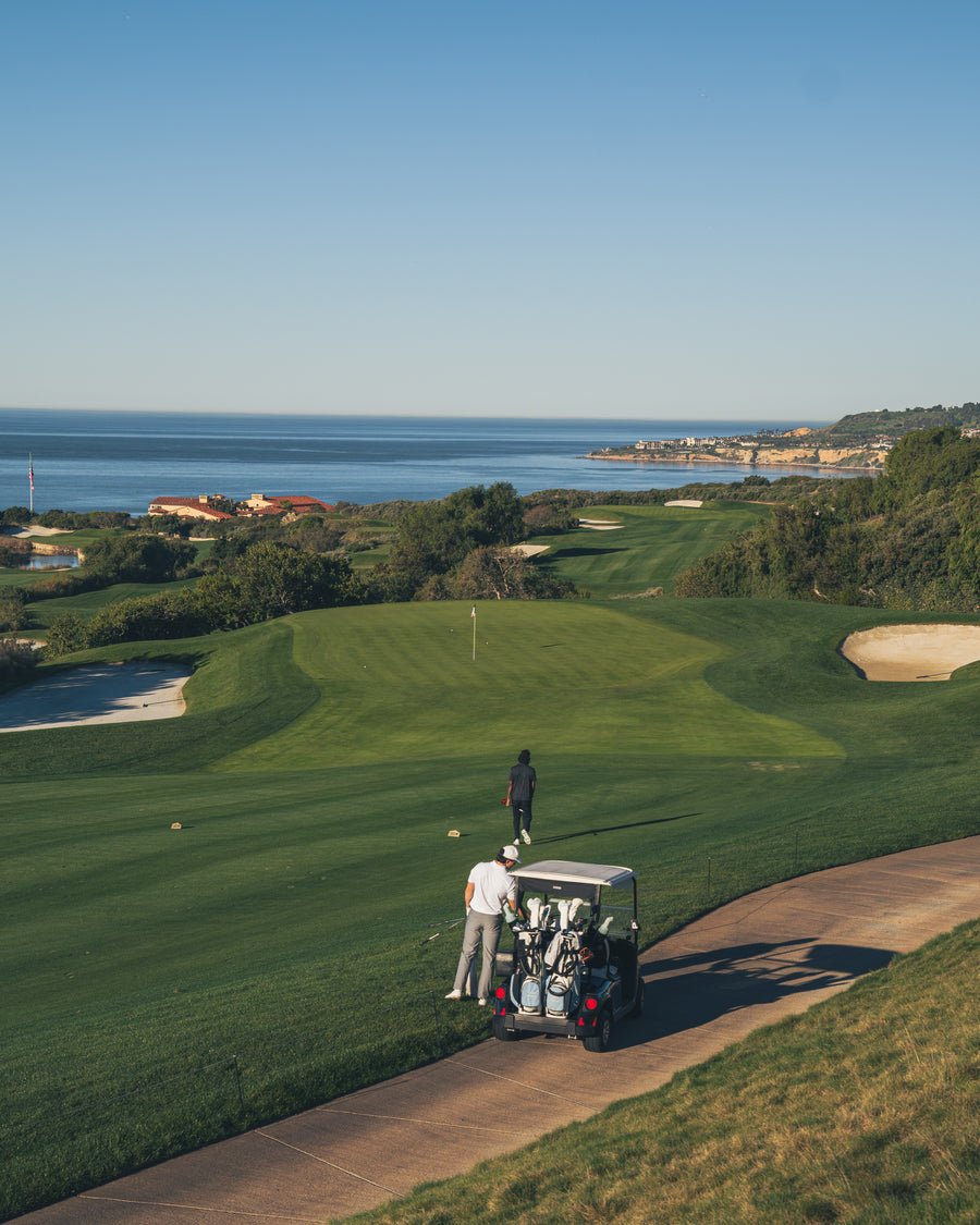 The roaring lion collection