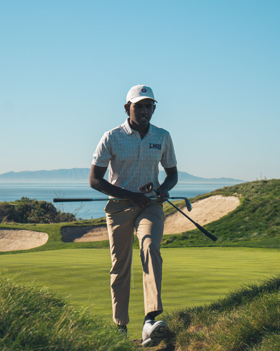 The roaring lion collection